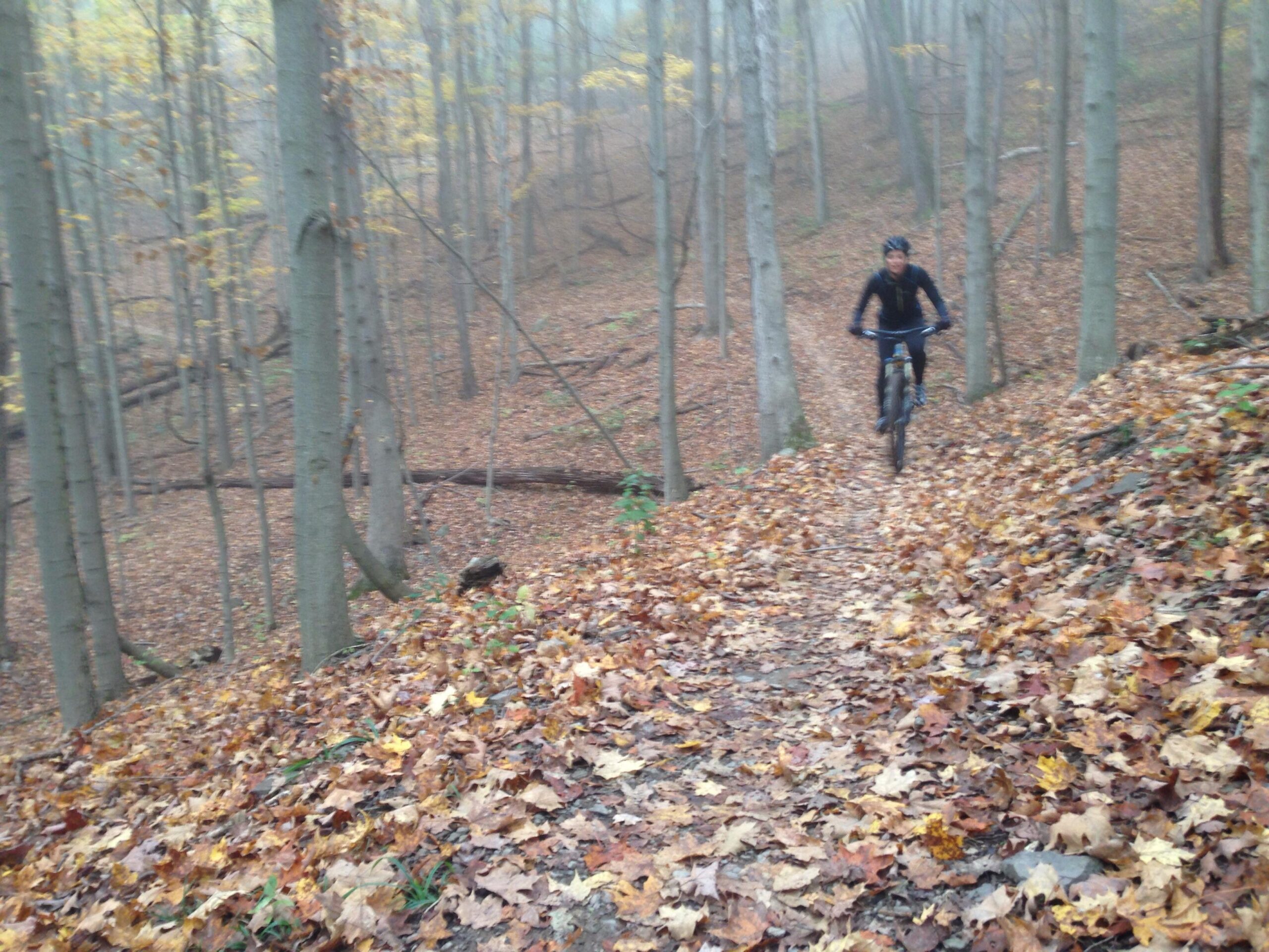 A mountain biker riding along a leaf-covered trail in a wooded area, surrounded by trees with autumn foliage. The scene is foggy, creating a serene atmosphere. Allegrippis Trails mountain bike trail.