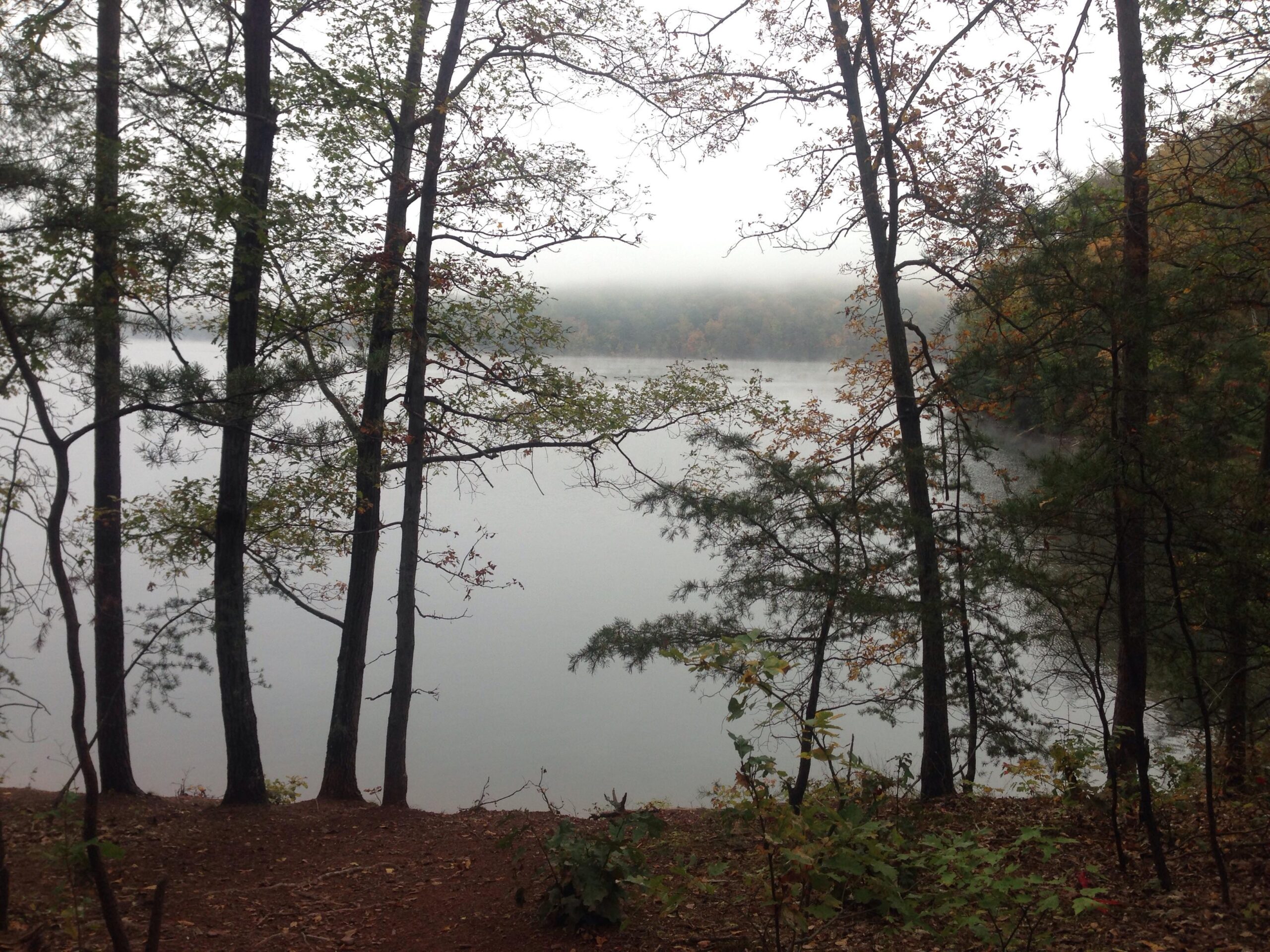 A serene view of a misty lake surrounded by tall trees, with soft autumn colors peeking through the foliage. The calm water reflects the foggy atmosphere, creating a peaceful, tranquil setting. Allegrippis Trails mountain bike trail.