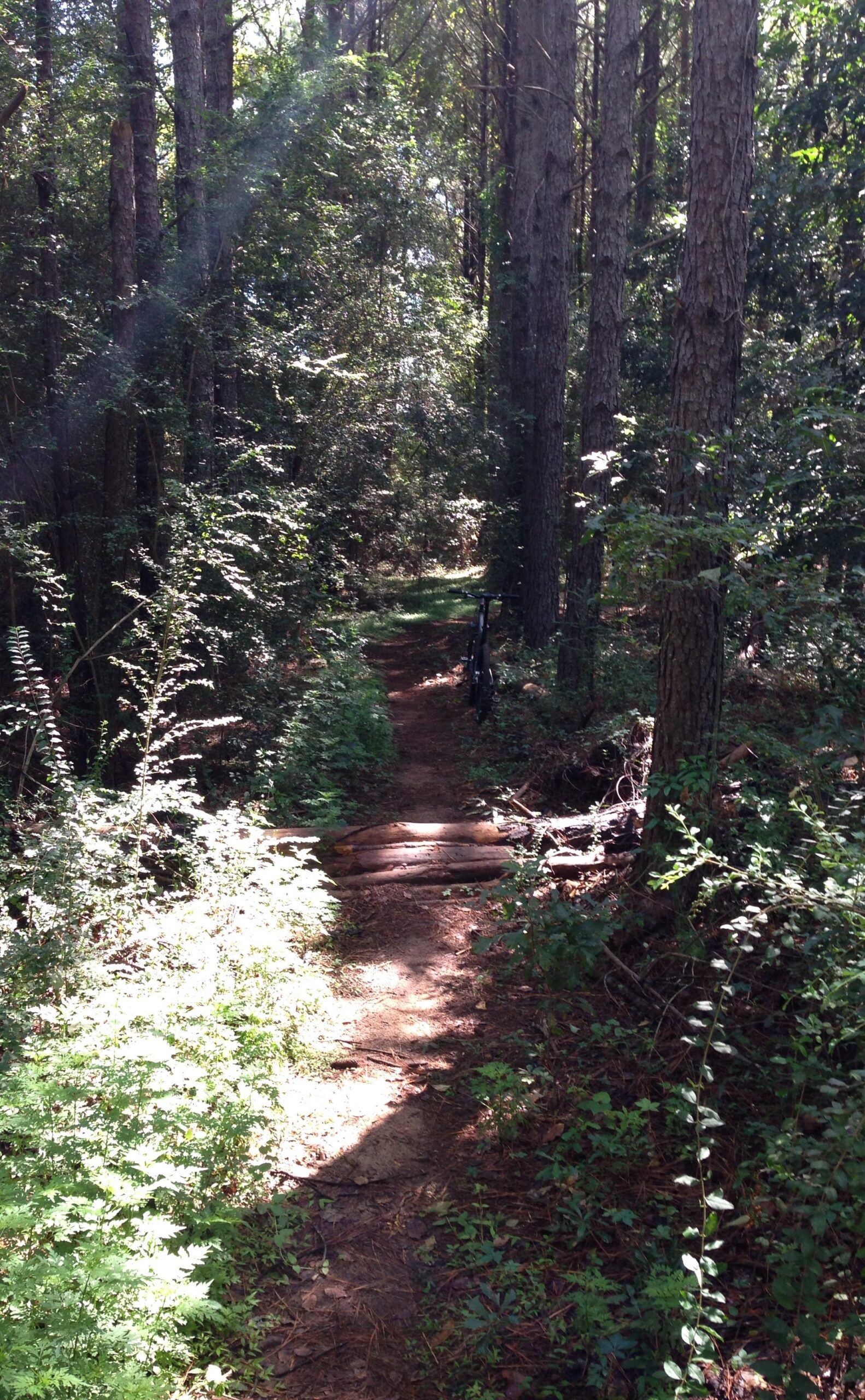A dirt path winding through a dense forest, flanked by tall trees and lush greenery. Sunlight filters through the leaves, creating patches of light and shadow on the trail. A small wooden bridge made of logs crosses the path, with a bicycle leaned against a tree in the background. Troy State University Dothan Trails mountain bike trail.