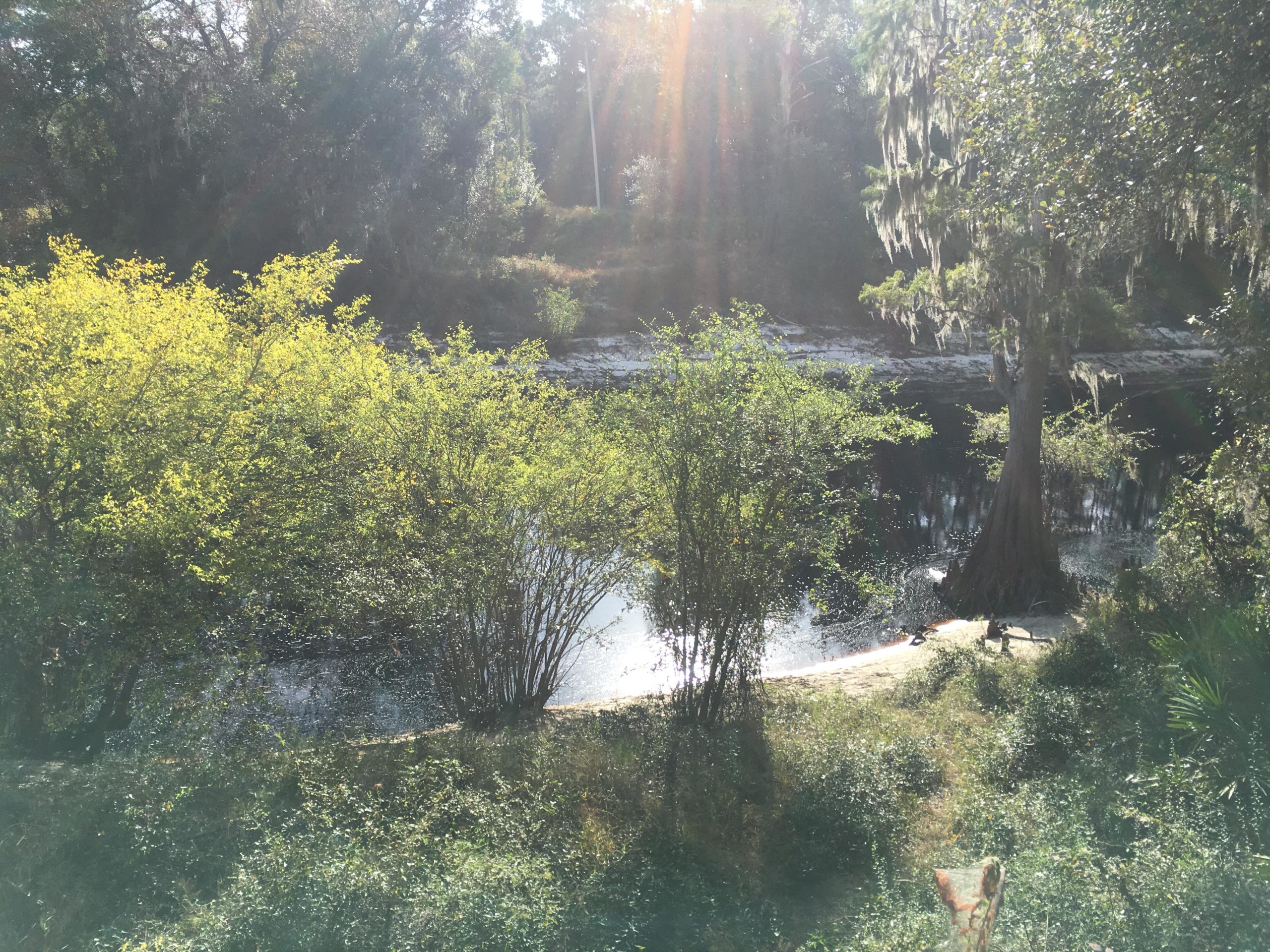 A serene natural landscape featuring a calm river bordered by lush greenery and trees. The sunlight filters through the leaves, creating a warm, inviting atmosphere. A sandy bank meets the water's edge, surrounded by dense foliage, adding to the tranquil scene. Fosters Hammock mountain bike trail.