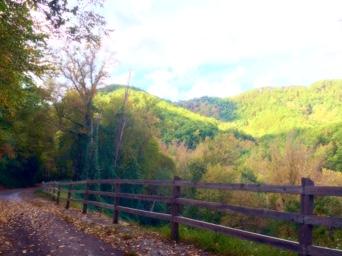 A scenic view of a winding dirt path lined with a wooden fence, surrounded by lush, green hills and trees in varying shades of autumn colors under a partly cloudy sky. Kitsuma mountain bike trail.