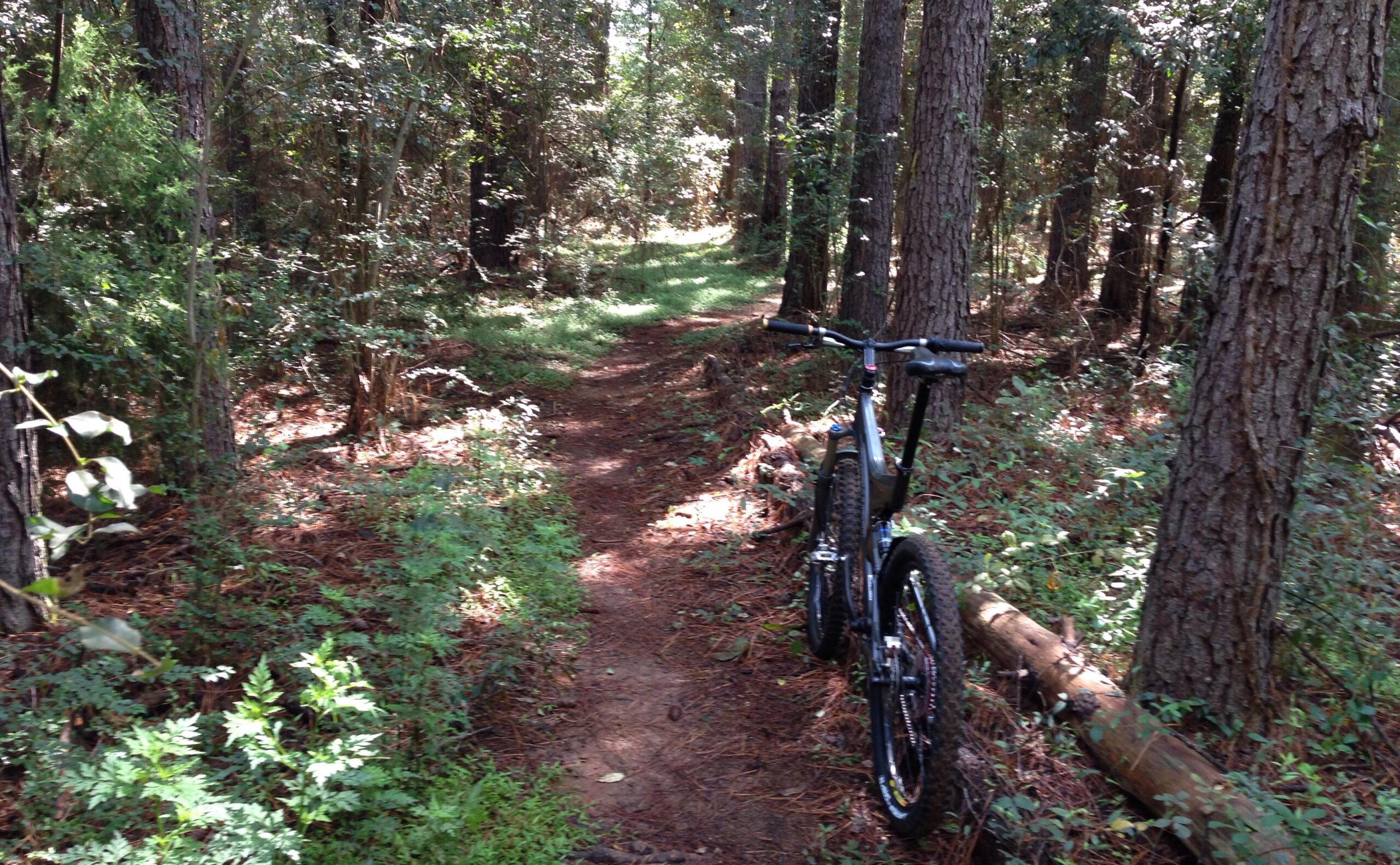 A mountain bike parked alongside a narrow dirt trail surrounded by tall trees and dense greenery, illuminated by soft sunlight filtering through the leaves. Troy State University Dothan Trails mountain bike trail.