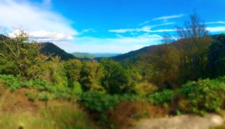 A scenic view of rolling mountains under a bright blue sky, with lush green trees and vibrant foliage in the foreground. Kitsuma mountain bike trail.