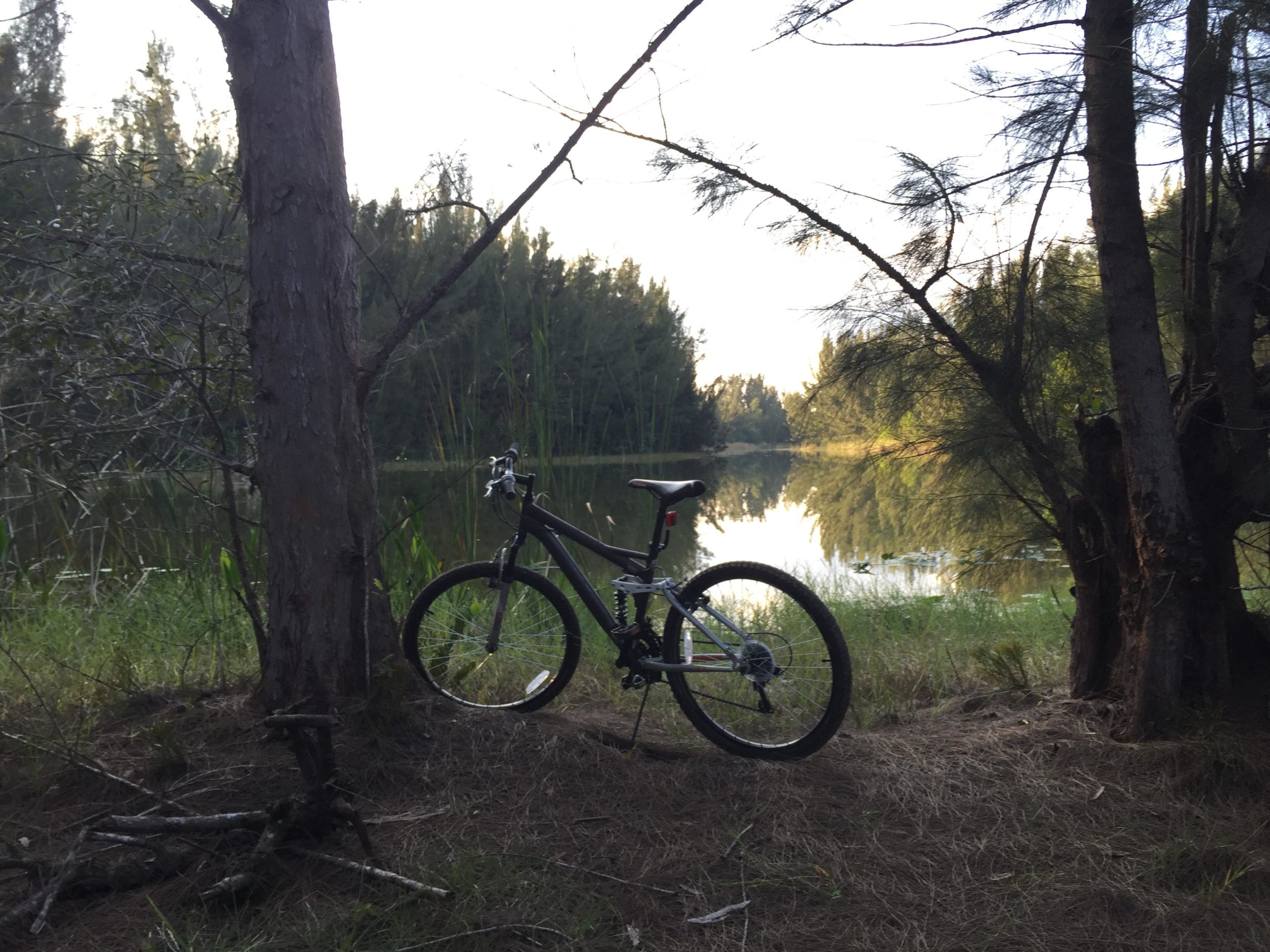 A mountain bike parked beside a calm lake, surrounded by tall trees and lush greenery. The scene captures a tranquil outdoor setting during the evening light. Markham Park mountain bike trail.