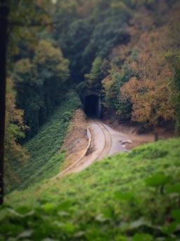 A scenic view of a railway curved through a wooded area, leading into a dark tunnel. The surrounding foliage features autumn colors, with rich greens and hints of orange and yellow. The ground beside the tracks is slightly muddy, indicating recent weather changes. The overall atmosphere is tranquil and inviting. Kitsuma mountain bike trail.