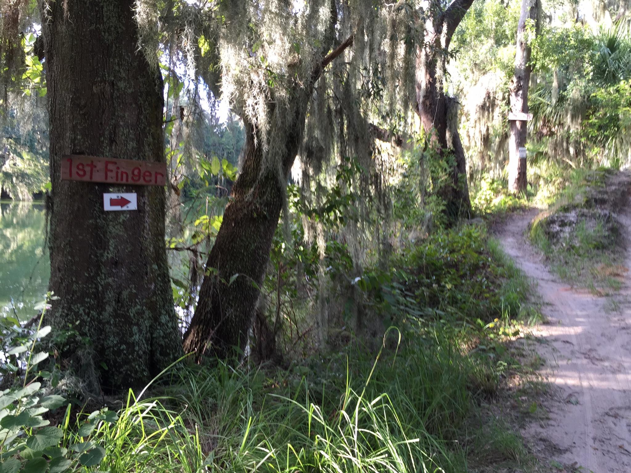 A wooden sign marked "1st Finger" with an arrow pointing right, attached to a tree beside a sandy trail. The area is surrounded by lush greenery, including moss-covered trees and grass, leading to a water body visible in the background. Loyce E. Harpe Park mountain bike trail.