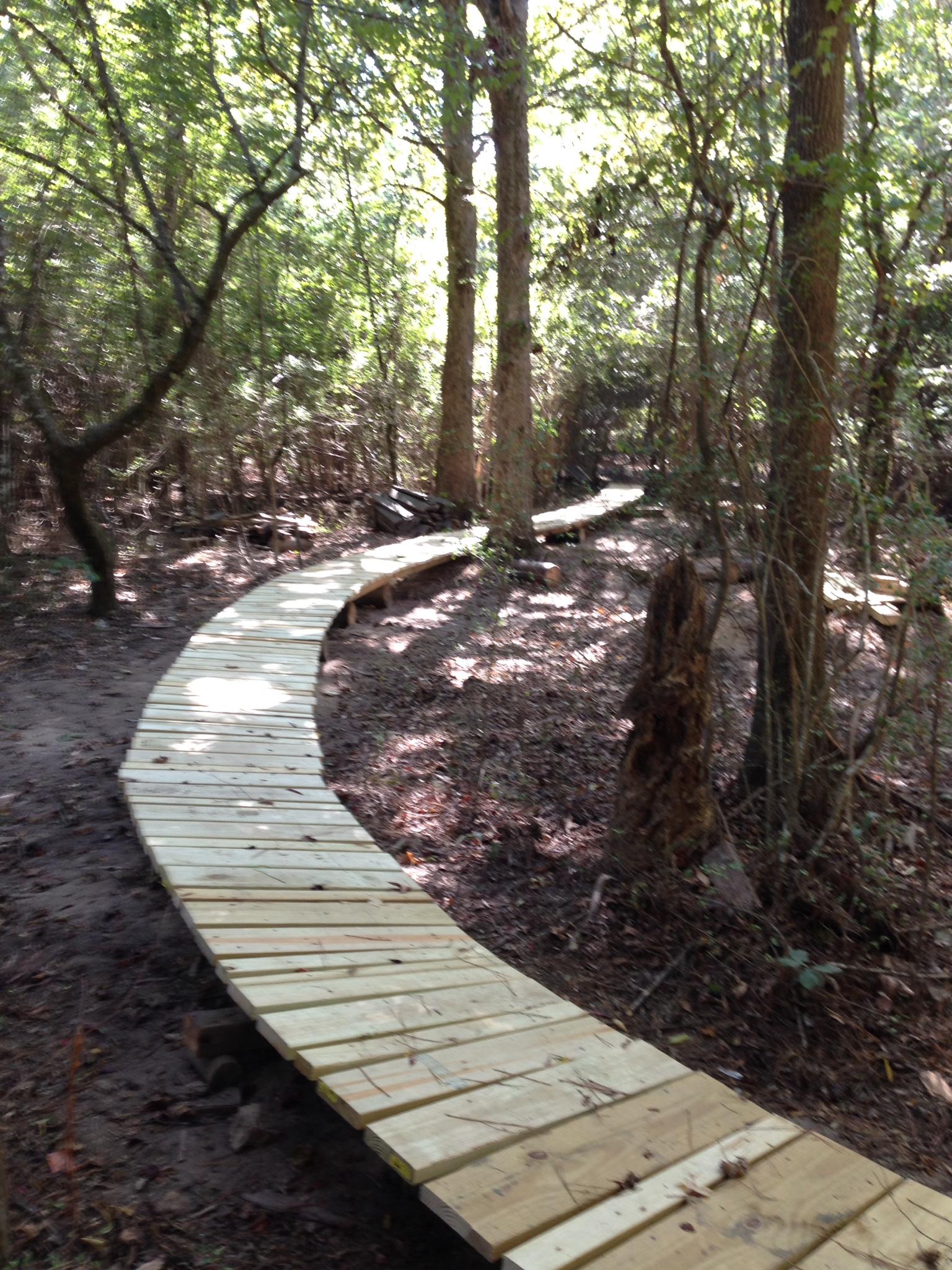A wooden walkway curving through a lush forest, surrounded by trees and underbrush, with dappled sunlight filtering through the leaves. Mt. Zion Bike Trails mountain bike trail.