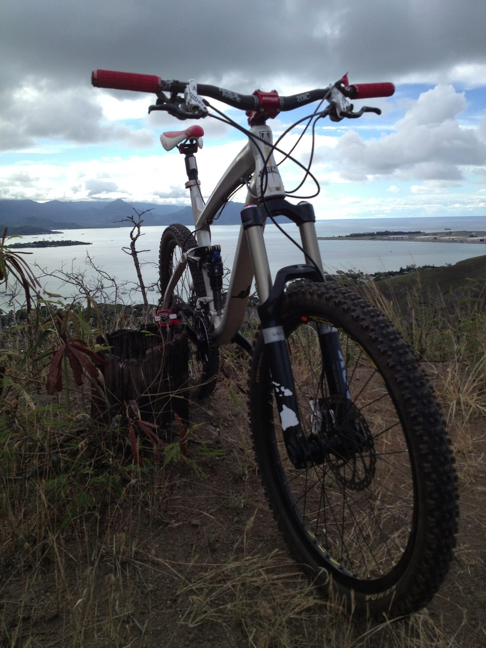 Trek Remedy 9: A mountain bike positioned on a hillside, with a panoramic view of a lake and distant mountains in the background. The bike features red handlebars and a sleek frame, surrounded by dry grass and foliage under a cloudy sky.