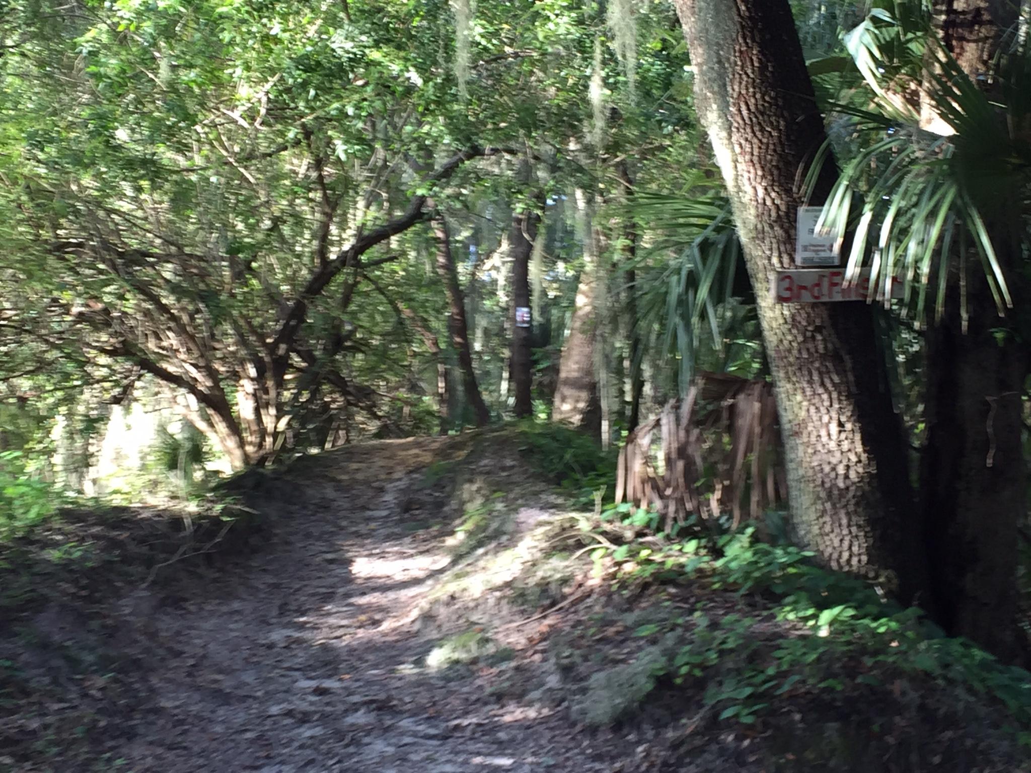A winding dirt path running through a lush, green forest, flanked by trees and dense foliage. A sign reading "3rd" is attached to a tree, partially obscured by branches. The scene is dappled with sunlight filtering through the leaves, creating a serene and natural atmosphere. Loyce E. Harpe Park mountain bike trail.