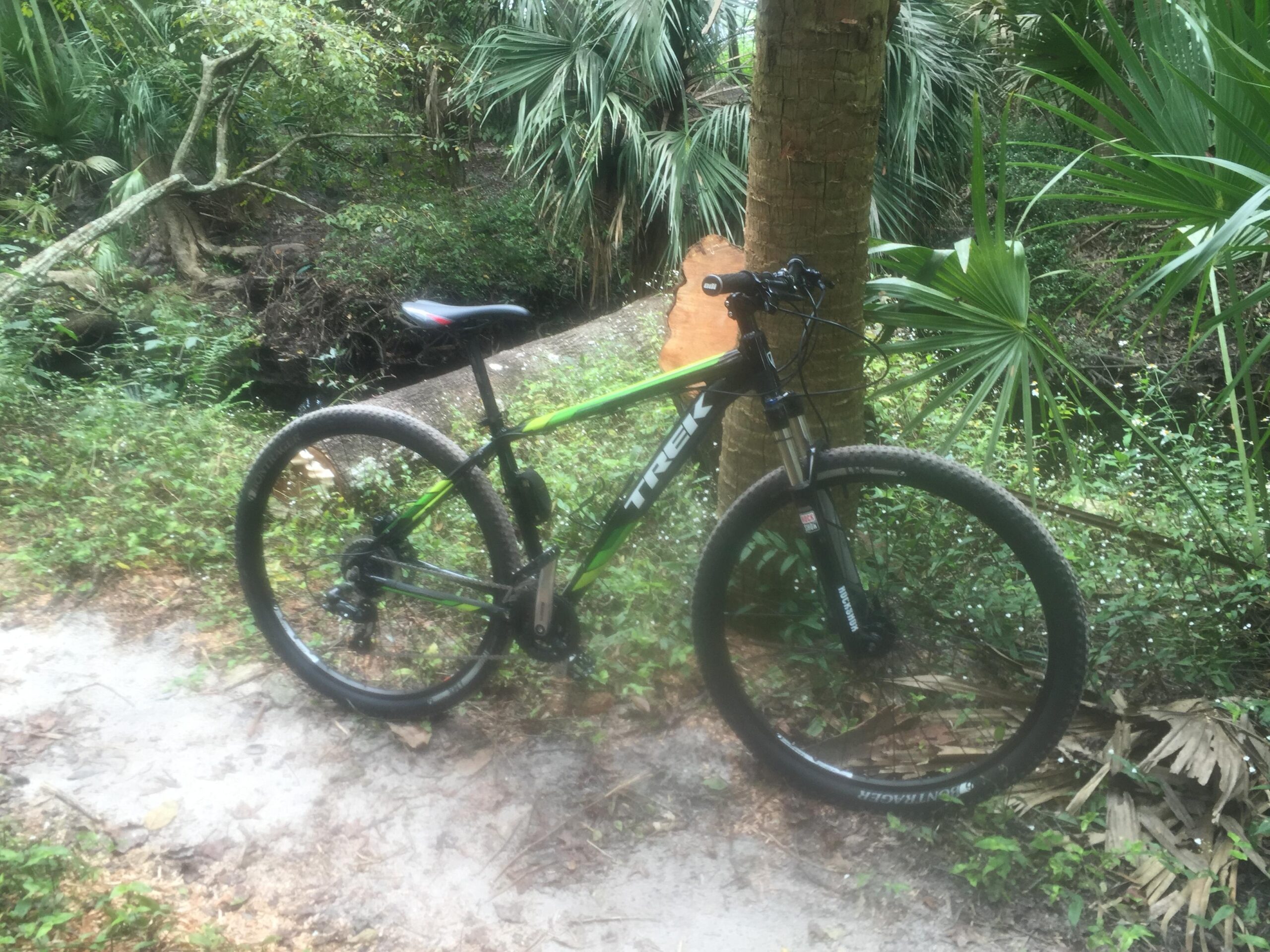 Trek Marlin 6: A green Trek mountain bike parked next to a tree in a lush, tropical forest setting. The background features dense foliage, including palm trees and underbrush, with a small creek visible nearby. The bike's tires are muddy, indicating recent use on a natural trail.