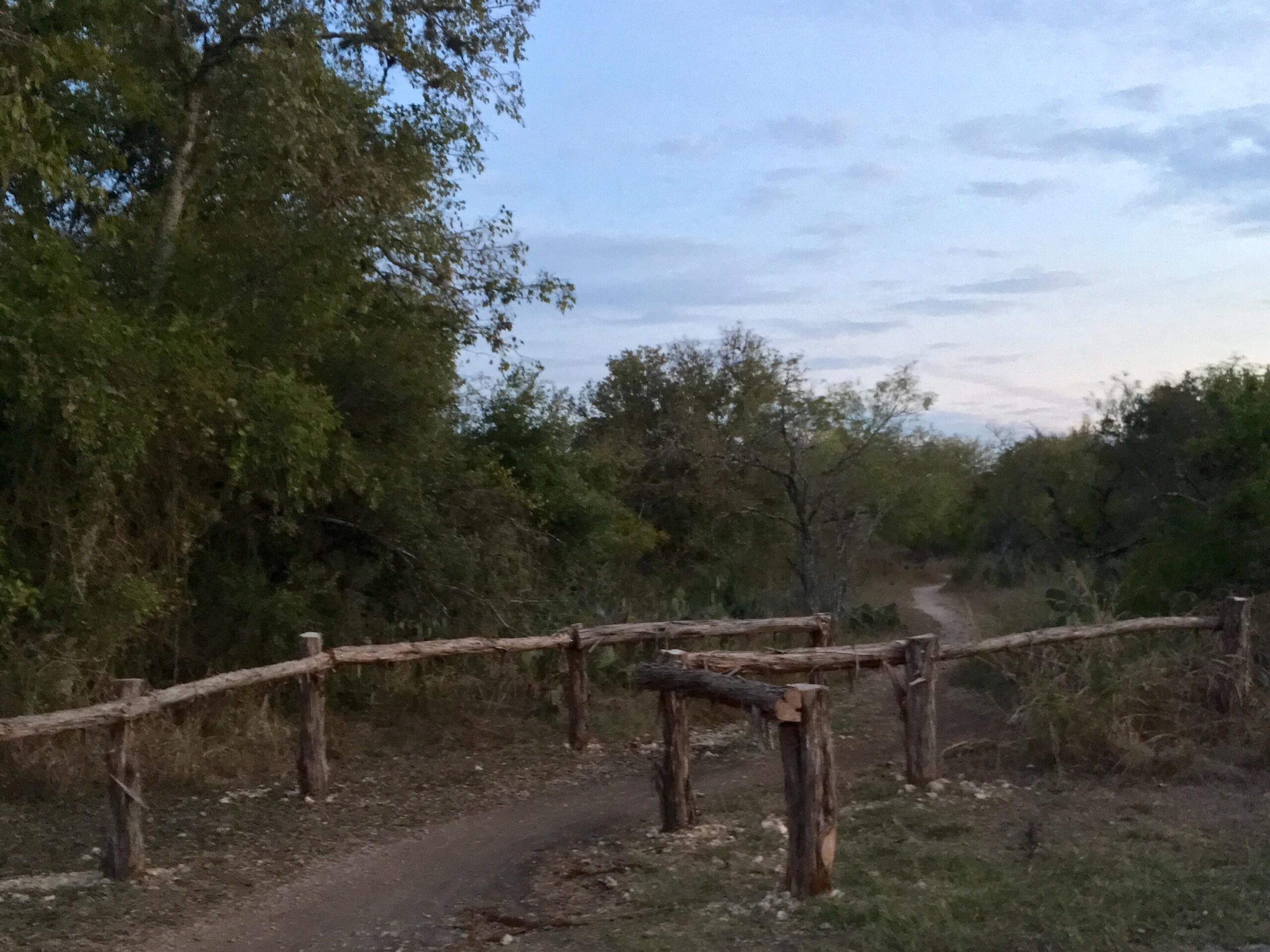 A narrow dirt path winding through a wooded area, bordered by rustic wooden fencing and surrounded by lush greenery under a partly cloudy sky during twilight. McAllister Park mountain bike trail.