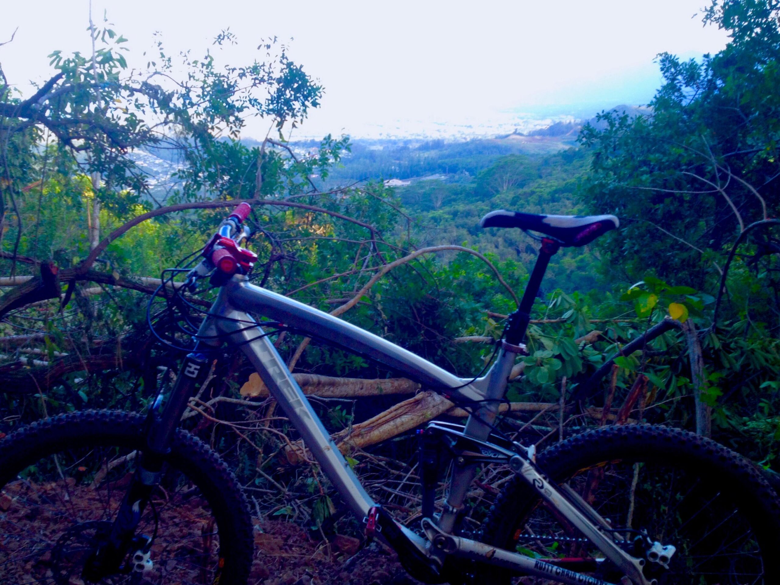 Trek Remedy 9: A mountain bike parked on a trail with a scenic view of a lush valley and distant hills, surrounded by greenery and trees.
