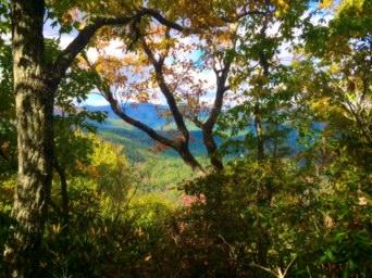 A lush, wooded landscape with trees displaying autumn foliage in shades of yellow and orange. In the background, rolling hills and valleys are visible under a partly cloudy sky, creating a serene natural scene. Kitsuma mountain bike trail.