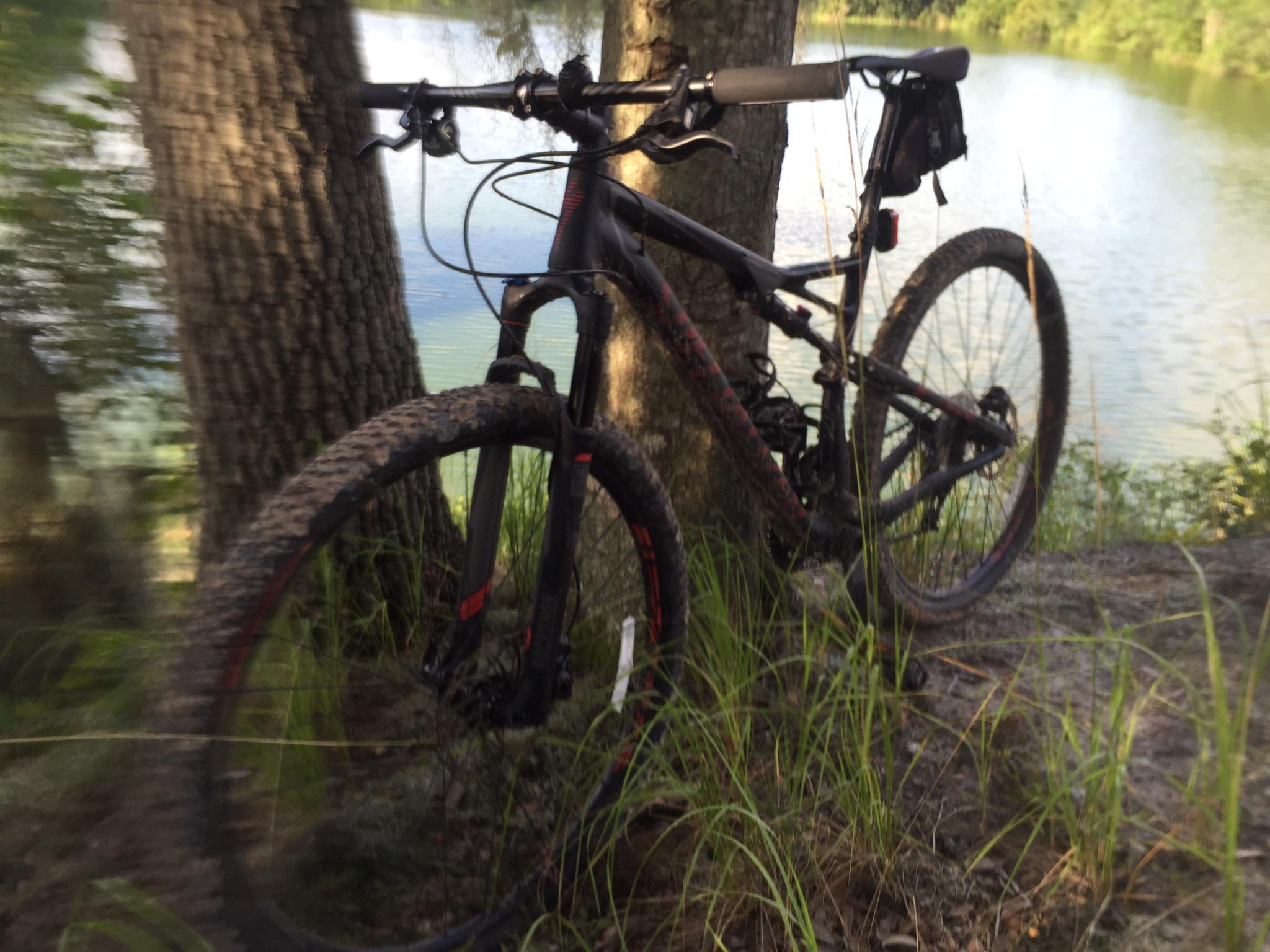A mountain bike leaned against a tree near a calm body of water, surrounded by grass and foliage. The bike shows signs of use with muddy tires, indicating recent outdoor activity. Loyce E. Harpe Park mountain bike trail.