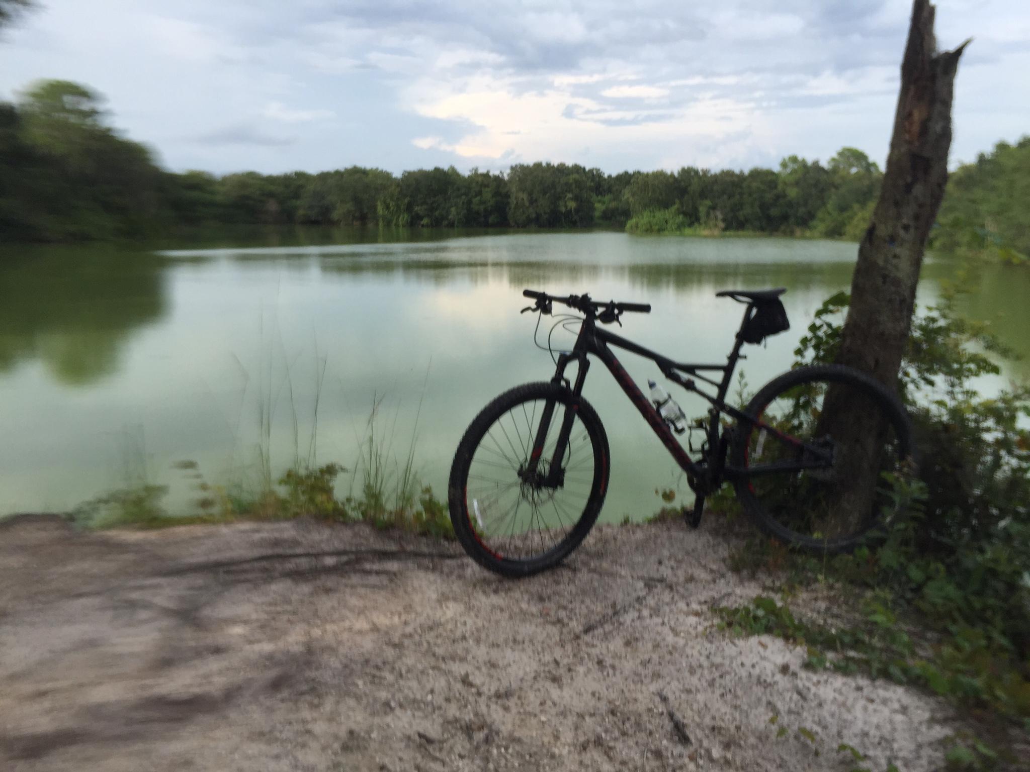 A black mountain bike leaning against a tree by the edge of a calm, green-tinted lake, surrounded by lush greenery and cloudy skies. Loyce E. Harpe Park mountain bike trail.