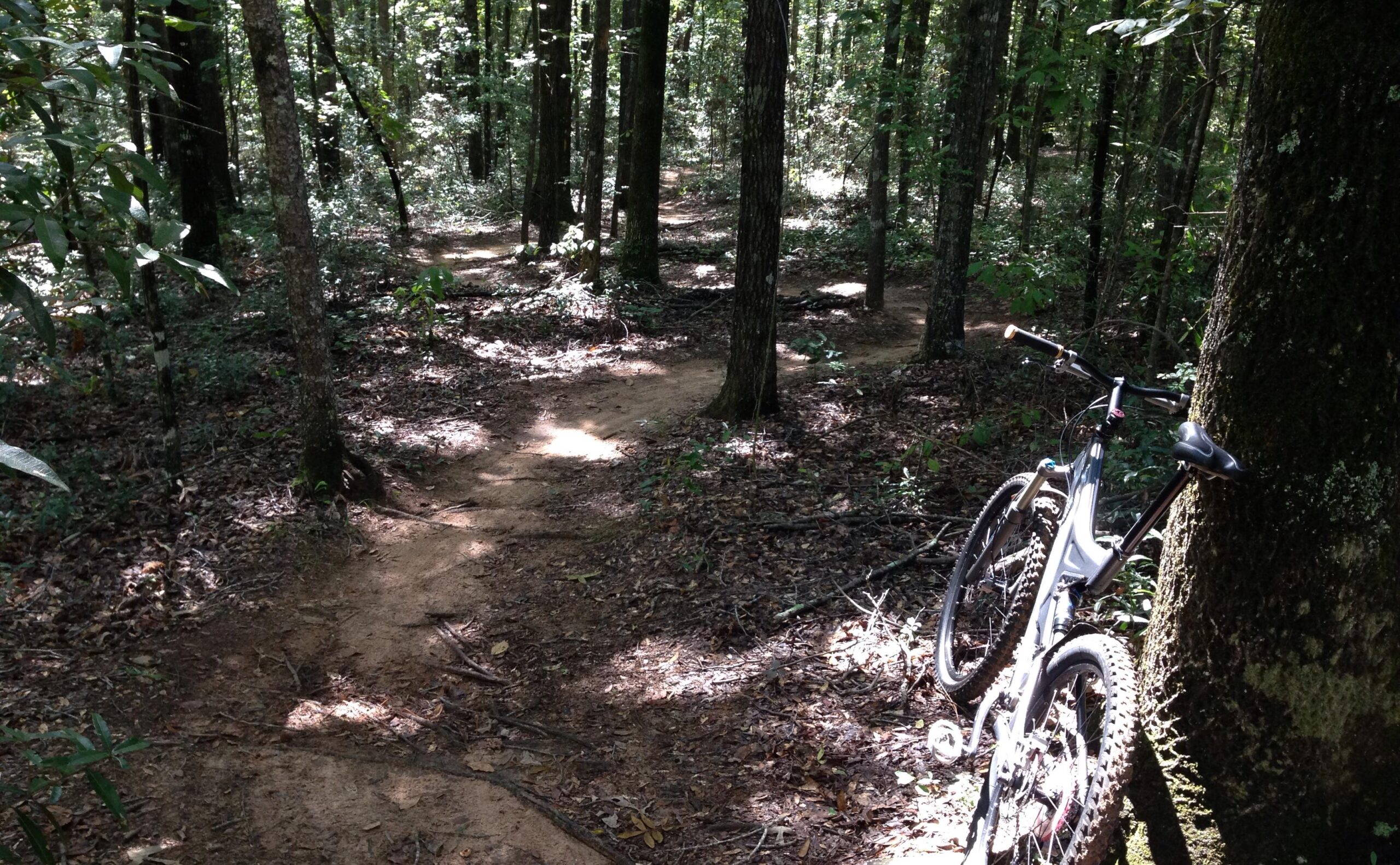 A mountain bike leaning against a tree in a wooded area, with a dirt trail winding through the greenery. Sunlight filters through the leaves, creating dappled patterns on the ground. Troy State University Dothan Trails mountain bike trail.