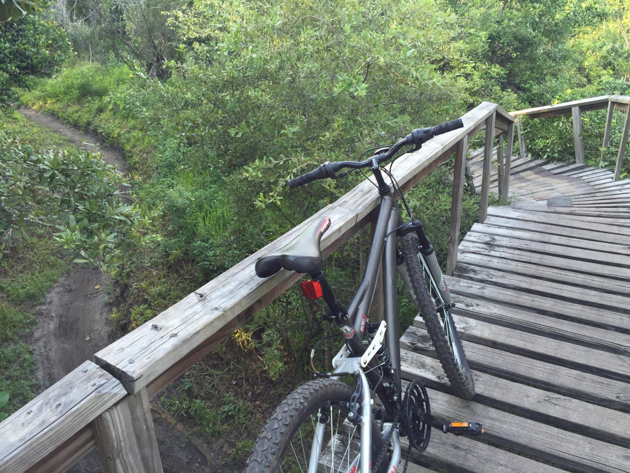 A mountain bike is parked on a wooden bridge overlooking a lush green trail. The path winds through vegetation, with trees and bushes surrounding the area, creating a serene outdoor setting. Markham Park mountain bike trail.