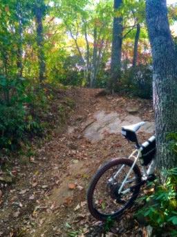 A mountain bike leaning against a tree next to a rocky, winding trail surrounded by lush green vegetation and colorful autumn leaves. Kitsuma mountain bike trail.