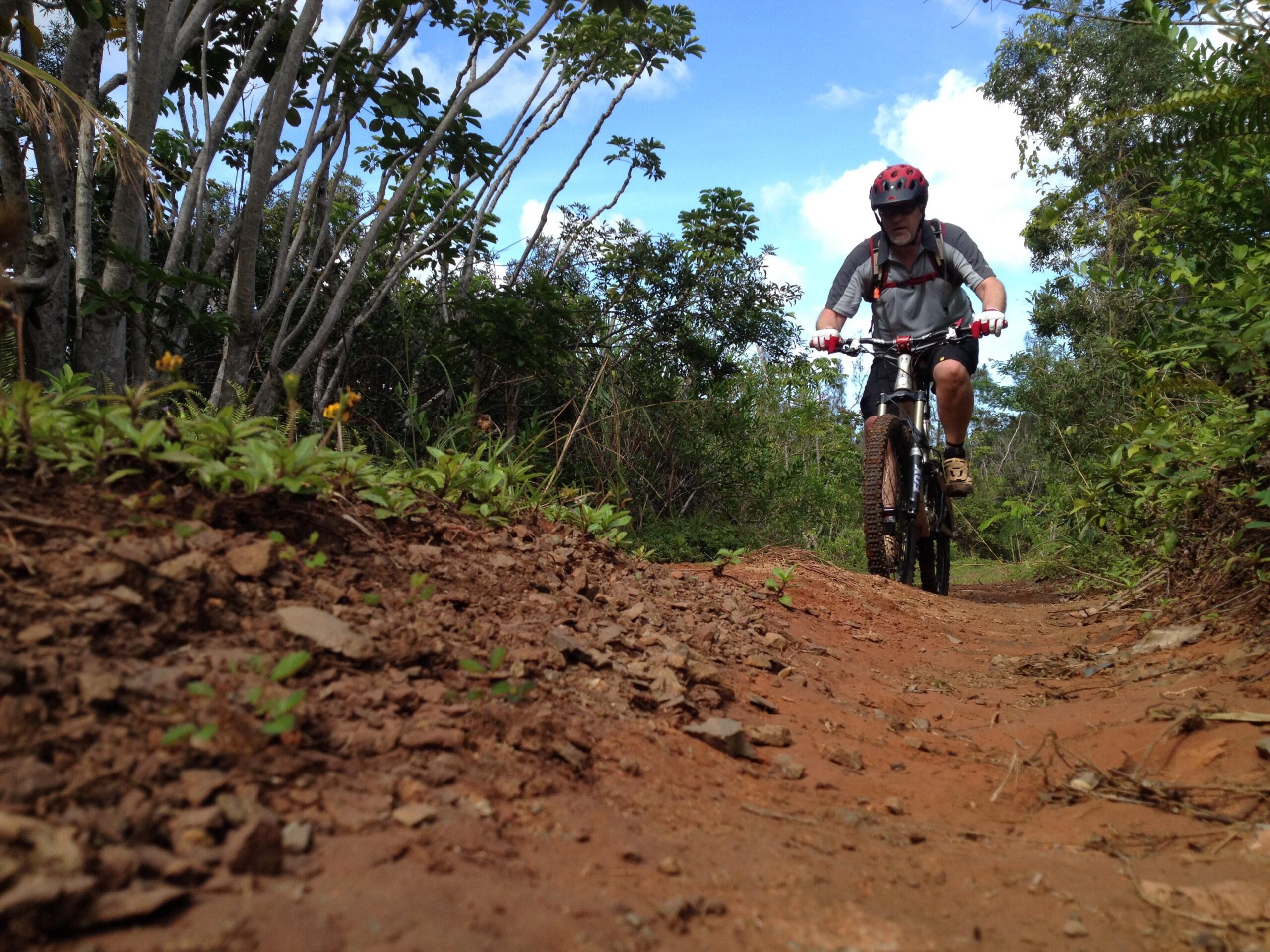 Trek Remedy 9: A mountain biker riding along a dirt trail surrounded by greenery and trees on a sunny day. The biker is wearing a helmet and riding gear, and the foreground shows the textured ground with small plants and dirt.
