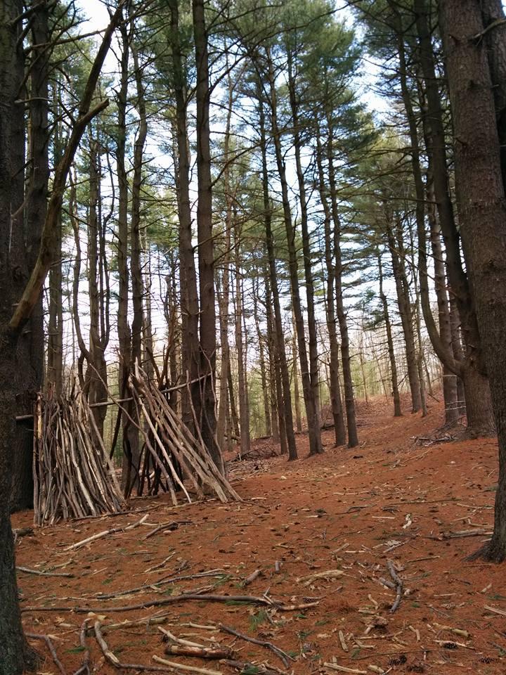 A wooded area featuring tall pine trees with a forest floor covered in pine needles. On the left, there is a structure made of sticks and branches, resembling a small shelter or fort. The setting is peaceful and natural, with soft light filtering through the tree branches. Meadowlark Park mountain bike trail.