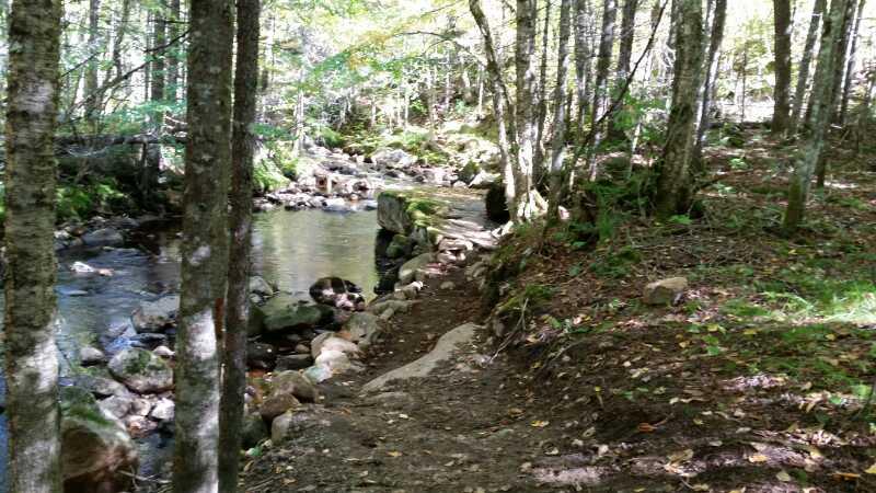 A peaceful forest scene featuring a narrow pathway along the bank of a gently flowing stream. Tall trees line both sides of the path, with sunlight filtering through the leaves, creating dappled shadows on the ground. Smooth stones are scattered along the water's edge, and the surrounding area is lush with green foliage and fallen leaves. Vallee Bras Du Nord Secteur Shannahan mountain bike trail.