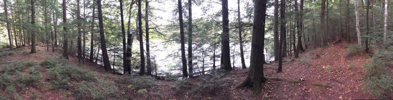 A panoramic view of a tranquil forest with tall trees surrounding a calm body of water. The ground is covered with fallen leaves and underbrush, creating a peaceful, natural setting. The Underdown mountain bike trail.