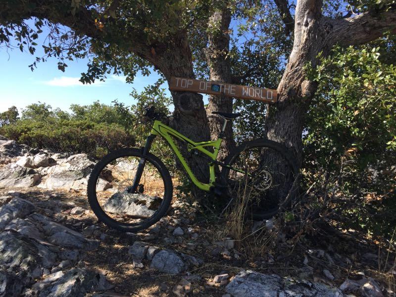 A bright green mountain bike leaning against a tree, with a wooden sign above that reads "TOP OF THE WORLD." The setting features rocky terrain and shrubs under a clear blue sky. Top Of The World mountain bike trail.