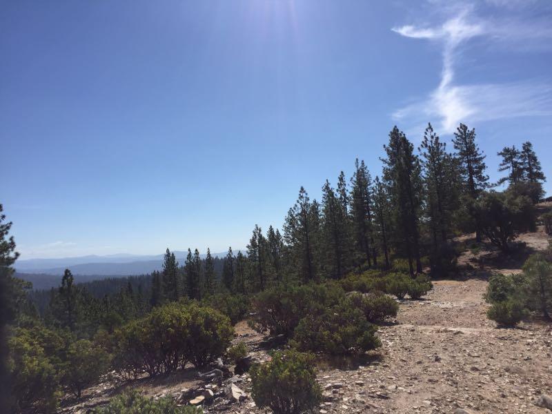 A scenic view of a mountainside with tall evergreen trees under a clear blue sky. The landscape includes rocky terrain and shrubs, with distant mountains visible on the horizon. Sunlight casts a bright glow over the scene. Top Of The World mountain bike trail.