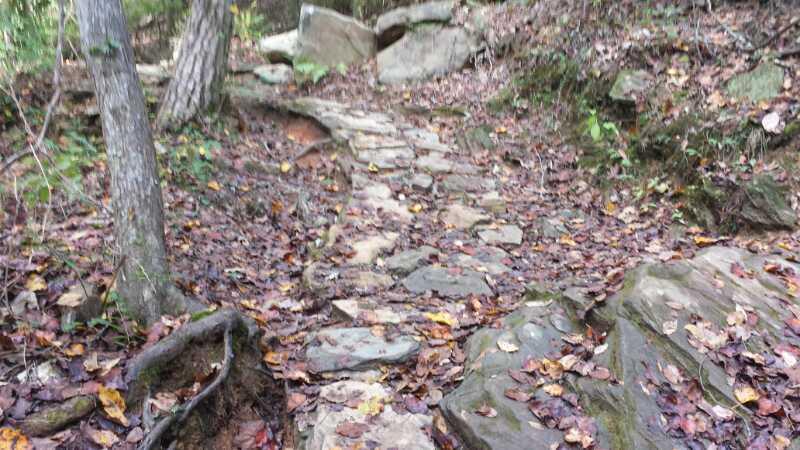 A winding stone path through a wooded area, surrounded by fallen leaves and rocks, with trees lining the trail. Chicopee Woods mountain bike trail.