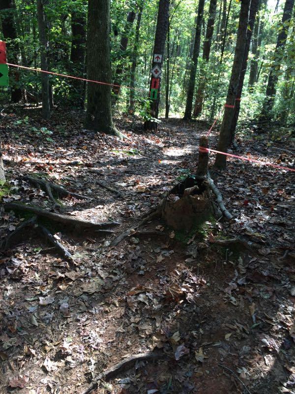 A wooded path in a forest, marked with colorful signs and reflective tape indicating trail directions. The ground is covered with fallen leaves and tree roots, with sunlight filtering through the trees, creating dappled shadows. USNWC mountain bike trail.