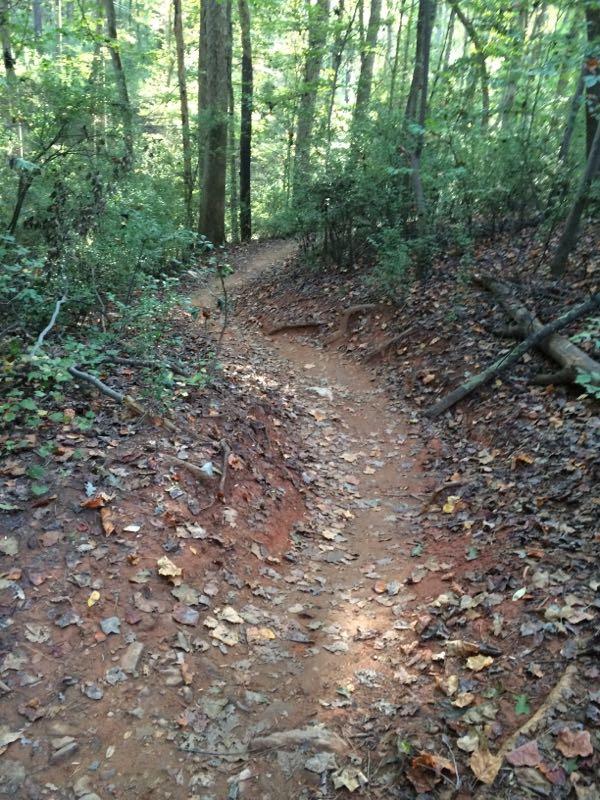 A winding dirt trail surrounded by tall trees and dense greenery, covered with fallen leaves. The path leads through a serene forested area, showcasing a natural and tranquil outdoor setting. USNWC mountain bike trail.