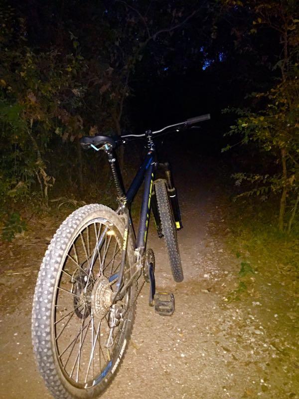 A mountain bike is positioned on a dirt pathway surrounded by dense vegetation, with dim lighting suggesting twilight or evening. The bike's rear wheel is prominent, showcasing its rugged tire and dirt accumulation from outdoor use. The path ahead is partially obscured by shadows, indicating a secluded outdoor environment. Northshore Trail mountain bike trail.