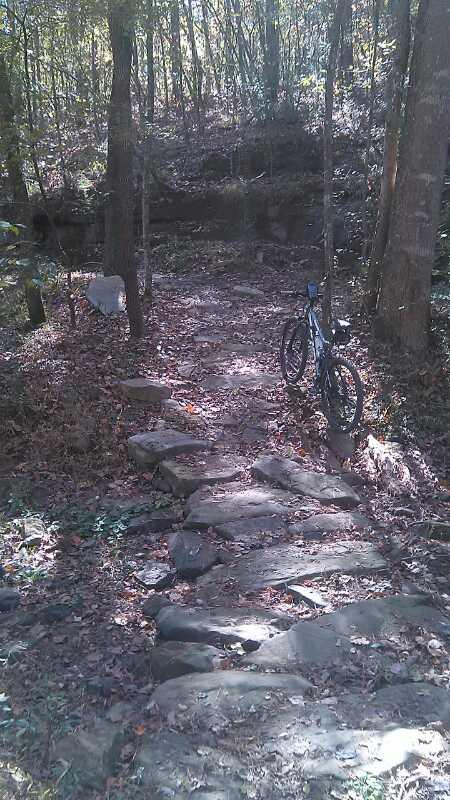 A rocky trail winding through a forest, with a mountain bike resting on the side. The path is covered in autumn leaves, and sunlight filters through the trees, creating dappled light on the ground. Duck River mountain bike trail.