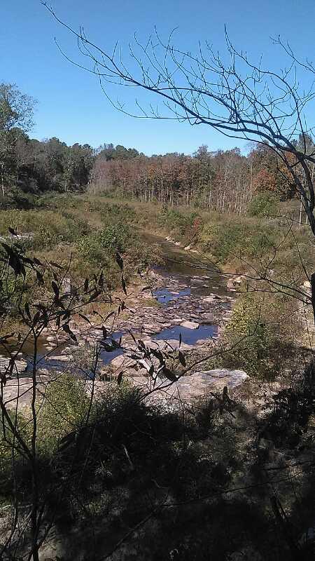 A scenic view of a winding stream flowing through a grassy landscape, surrounded by trees with autumn foliage. The sky is clear and blue, and the foreground features rocky banks and vibrant greenery. Duck River mountain bike trail.