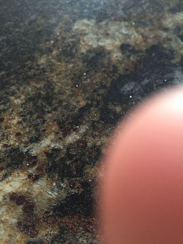 Close-up view of a textured stone surface, featuring a mix of dark and light colors with variations and some shiny spots. A faint outline of a finger is visible in the corner of the image. Switchgrass mountain bike trail.