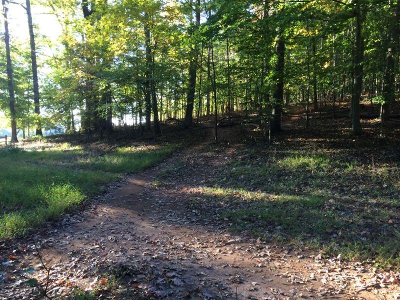 A serene forest path winding through trees with autumn foliage, leading deeper into a wooded area. Sunlight filters through the leaves, illuminating patches of grass and fallen leaves along the trail. Tanglewood Park mountain bike trail.