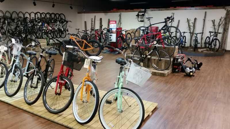 A spacious bicycle shop displaying a variety of bicycles. In the foreground, several colorful bicycles are showcased on a wooden platform, including options in red, orange, mint green, and gray. In the background, additional bicycles are mounted on the wall, with some models prominently displayed on the floor. The shop has wooden flooring and an organized layout, creating an inviting atmosphere for customers.