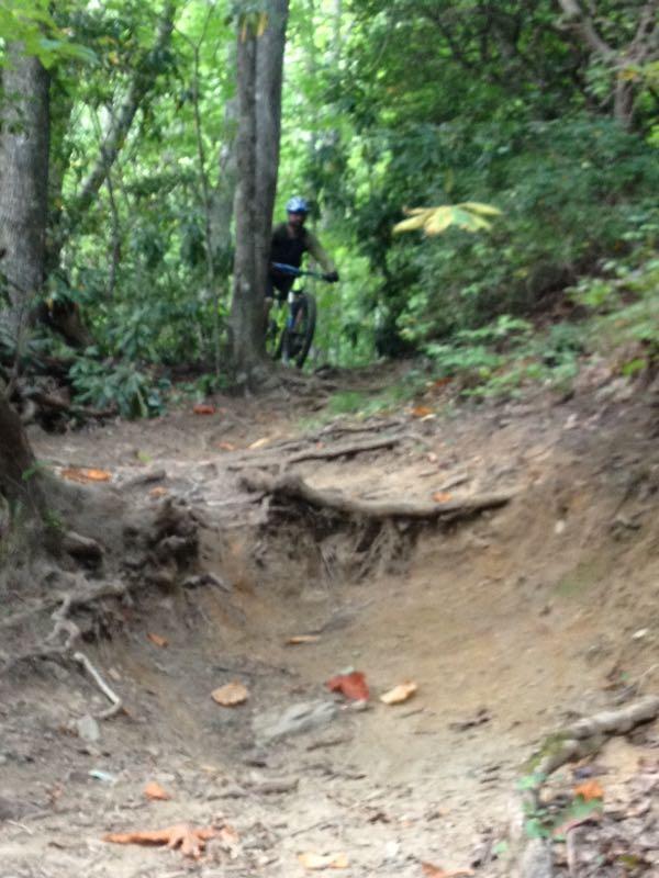A person riding a mountain bike on a narrow dirt trail surrounded by trees and lush greenery. The trail features exposed roots and patches of exposed soil, suggesting a rugged terrain for biking. Black Mountain mountain bike trail.