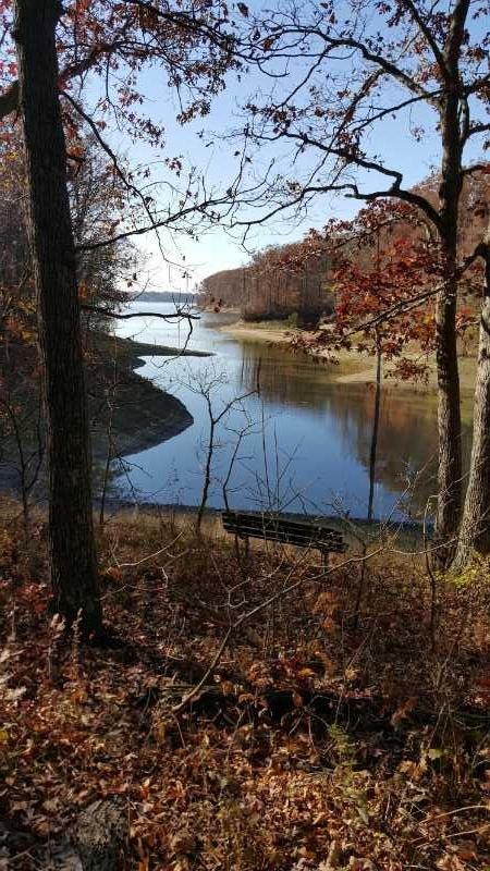 A serene view of a winding river surrounded by autumn foliage. Golden and reddish leaves are scattered on the ground, with a lone bench positioned near the water's edge. The calm water reflects the trees and blue sky, creating a peaceful natural scene. Camp Camfield mountain bike trail.