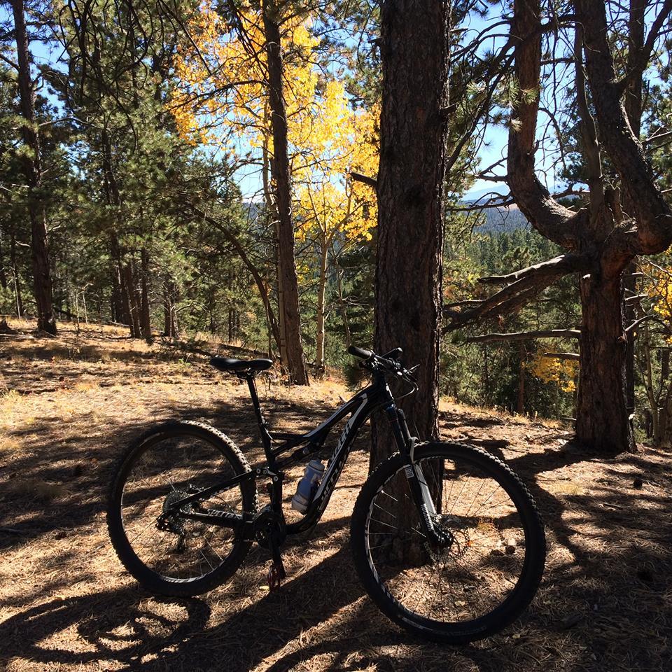 Specialized Stumpjumper FSR Comp EVO 29: A mountain bike leaning against a tree in a forest setting, surrounded by tall trees and colorful autumn foliage. Sunlight filters through the branches, casting shadows on the ground.