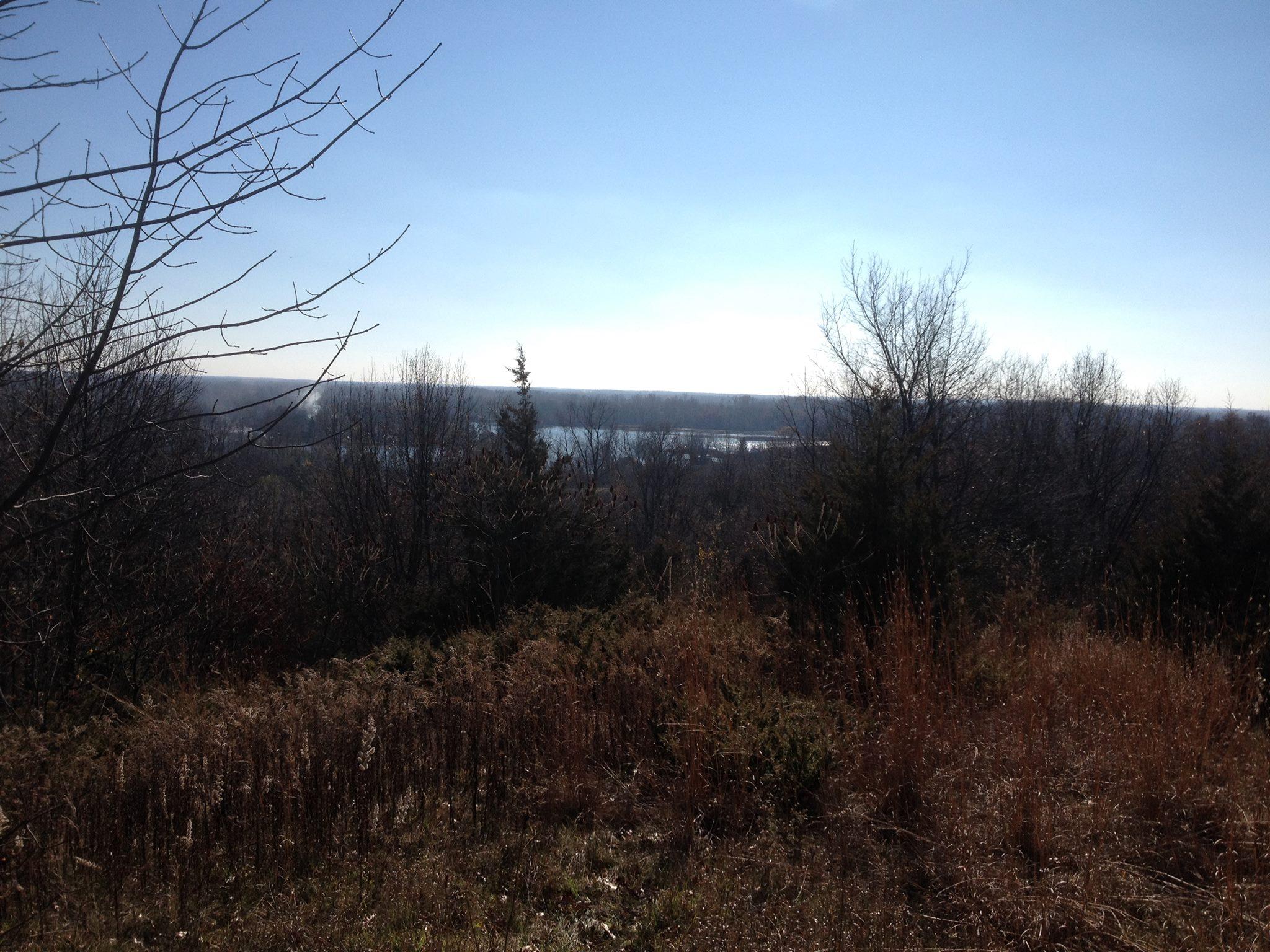 A panoramic view of a landscape featuring bare trees and shrubbery in the foreground, with a serene body of water visible in the distance under a clear blue sky. The scene captures a peaceful natural setting during the daytime. Pontiac Lake mountain bike trail.
