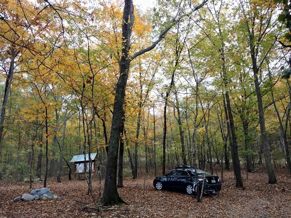 A serene forest scene featuring trees with vibrant autumn leaves. In the foreground, a parked black car and a bicycle are visible, with a small wooden structure in the background. The ground is covered with fallen leaves, creating a peaceful natural setting. Coldwater Mountain mountain bike trail.