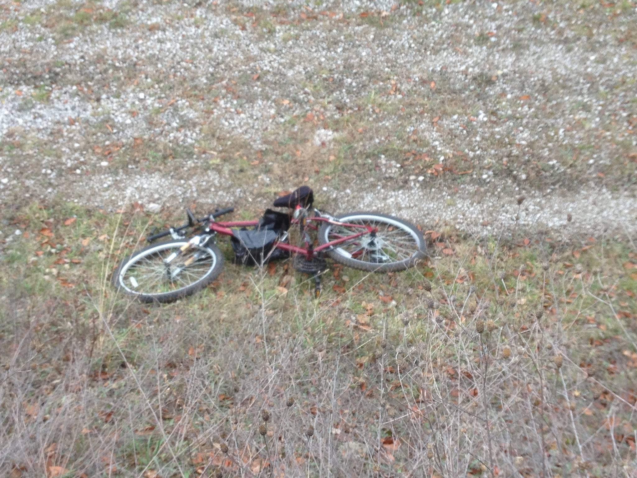 A red bicycle lies on its side in a grassy area beside a gravel path, surrounded by dry grass and fallen leaves. Novi Tree Farm (Lakeshore Park) mountain bike trail.