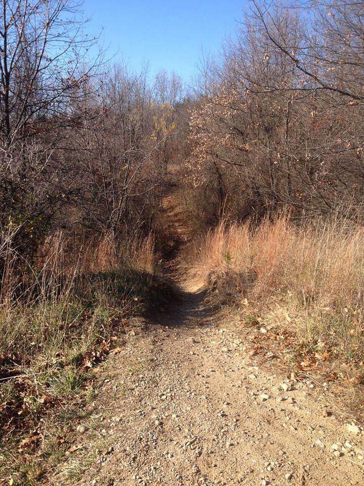 A narrow dirt path winding through a forest, flanked by dry grass and sparse trees. The sky is clear and blue, indicating a sunny day. The trail appears to lead deeper into the woods. Pontiac Lake mountain bike trail.