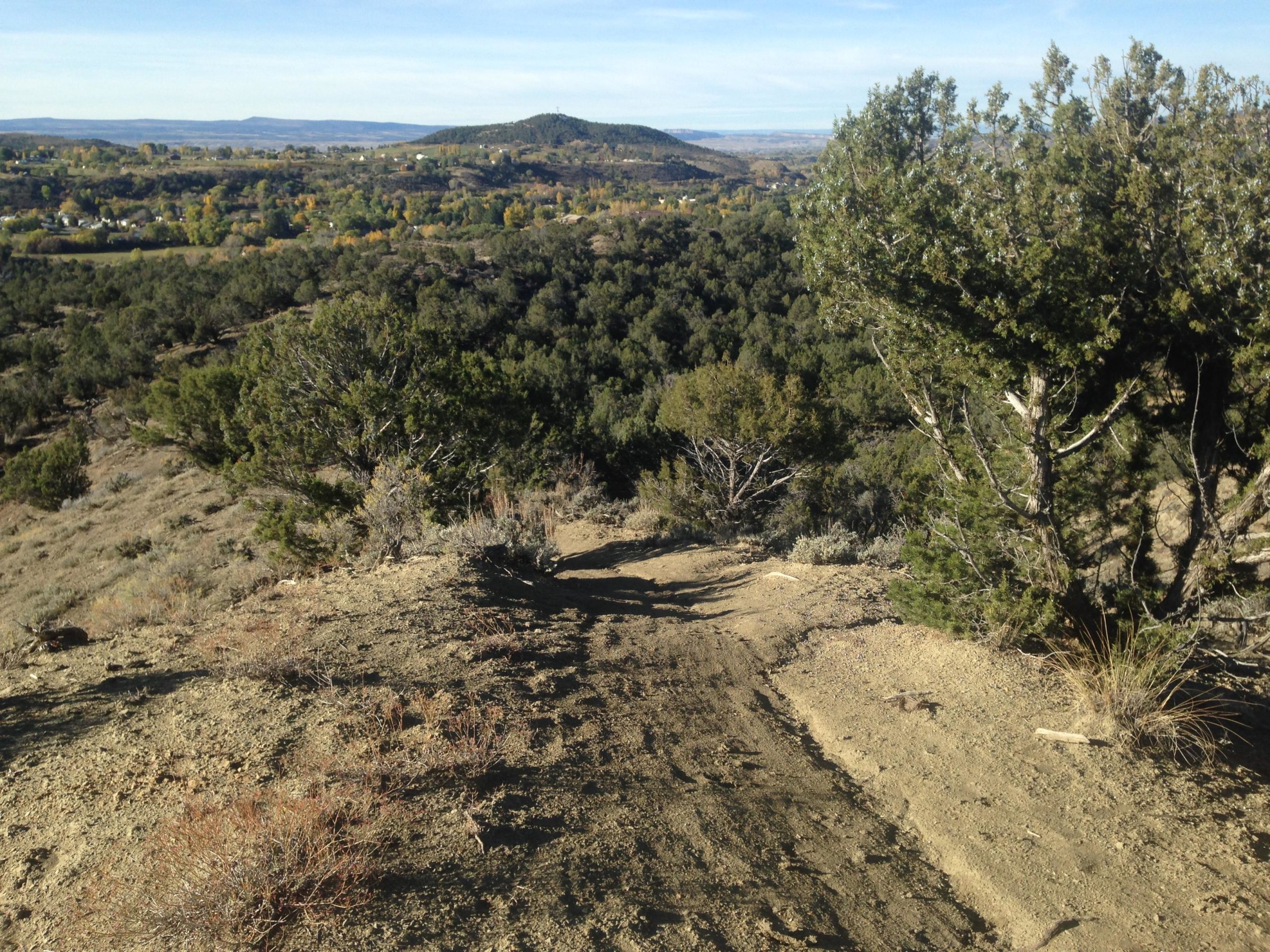 A scenic view from a hillside overlooking a valley filled with trees and some residential areas, with rolling hills in the background under a clear blue sky. The foreground features dry terrain with sparse vegetation. Jumbo Mountain mountain bike trail.