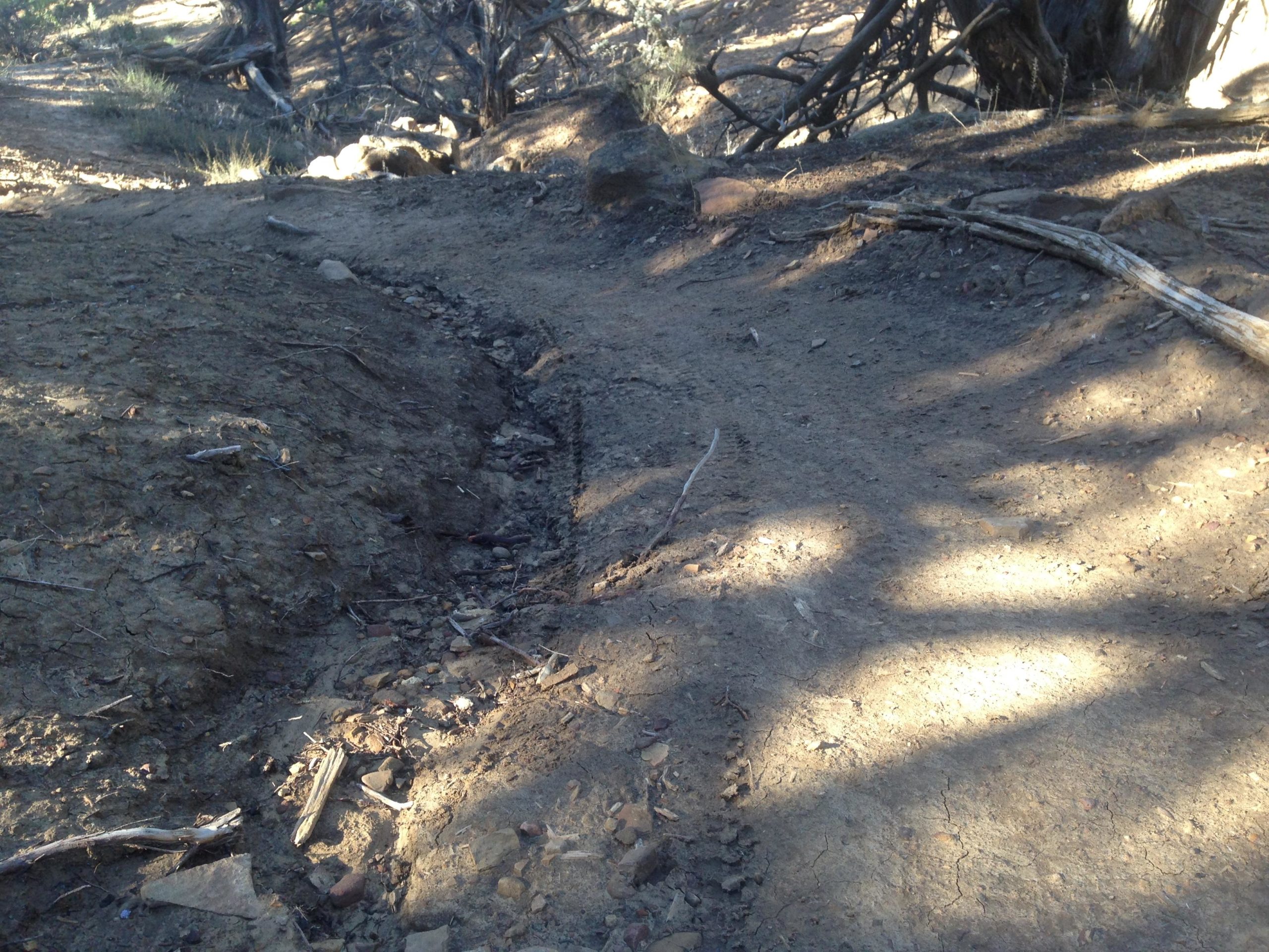 A dirt trail winding through a wooded area, bordered by uneven terrain and scattered rocks. Sunlight filters through the trees, casting shadows on the ground. Jumbo Mountain mountain bike trail.