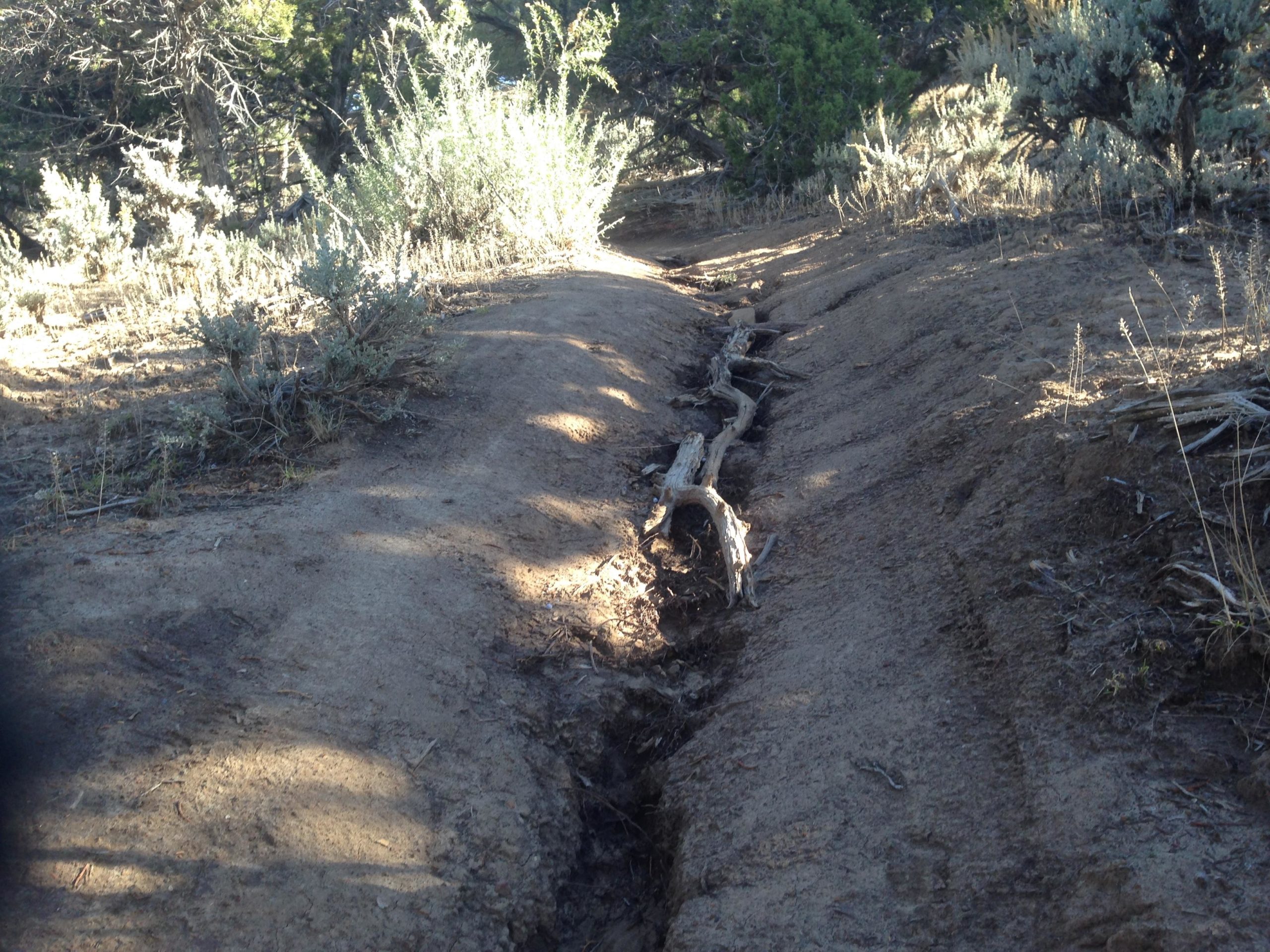 A sunlit dirt pathway in a natural setting, featuring a narrow dry creek bed or erosion channel flanked by sparse vegetation and small shrubs. The surrounding area exhibits a mix of light and shadow, with tree trunks partially visible in the background. Jumbo Mountain mountain bike trail.