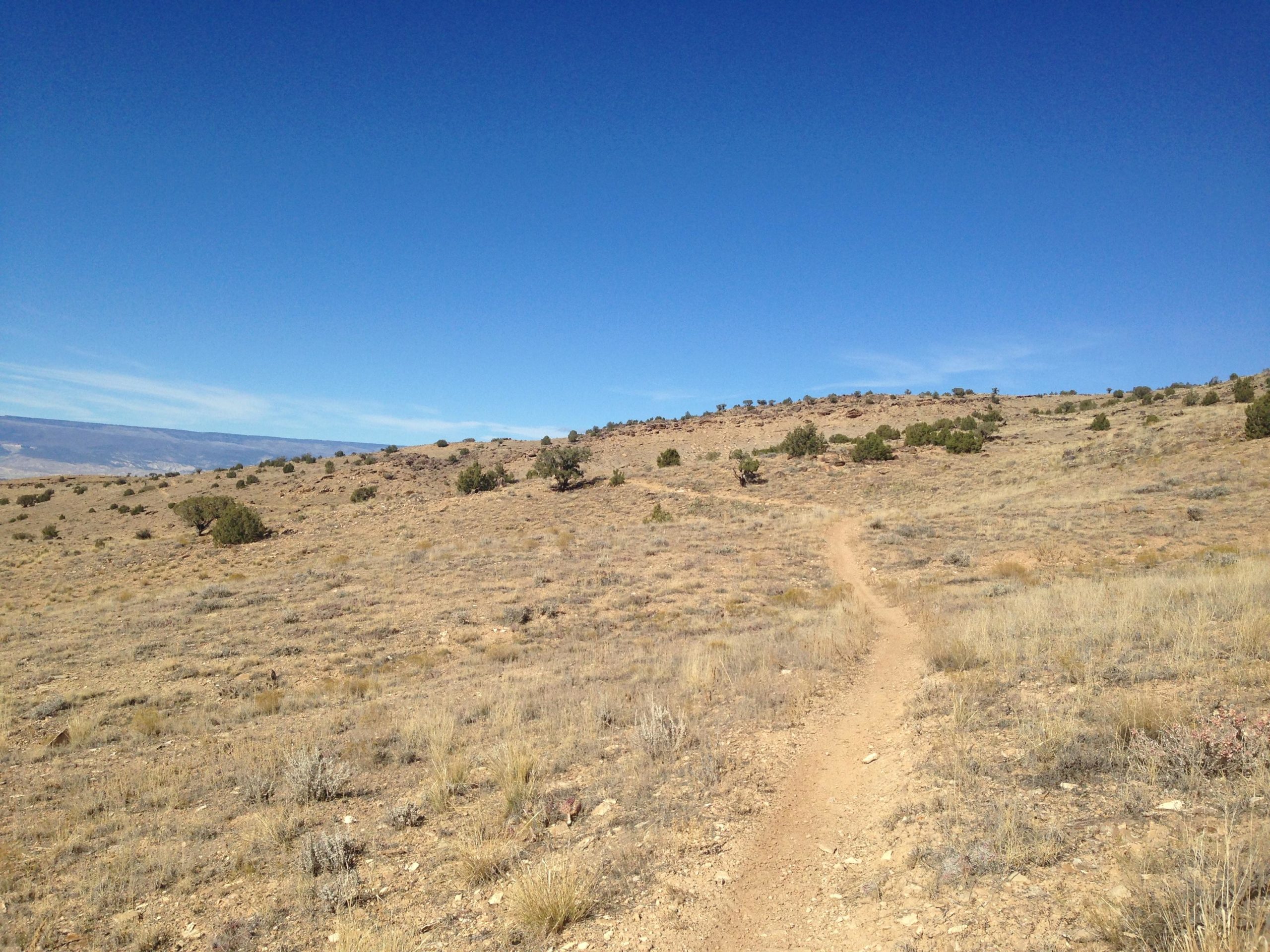 A winding dirt path leads through a dry, open landscape featuring sparse vegetation and rolling hills under a clear blue sky. Sidewinder mountain bike trail.