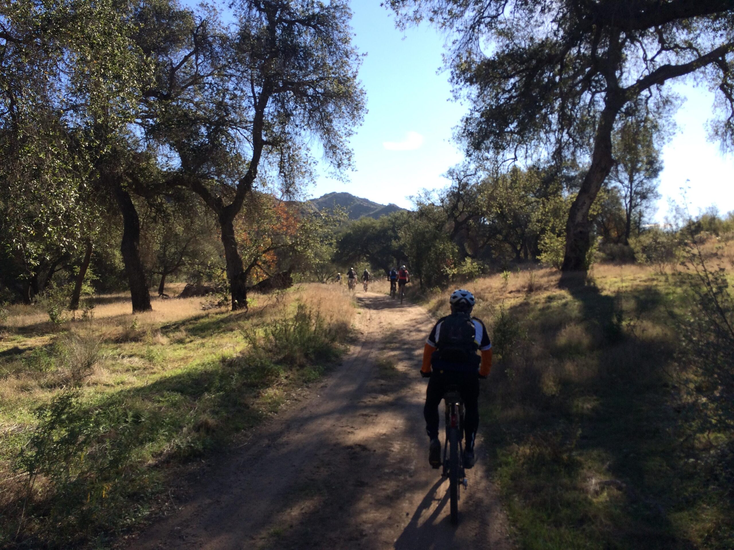 A scenic dirt trail winding through a wooded area, with cyclists riding in the distance. The path is surrounded by tall trees and patches of grass under a clear blue sky. Sunlight filters through the leaves, creating a peaceful outdoor atmosphere. Limestone Canyon mountain bike trail.
