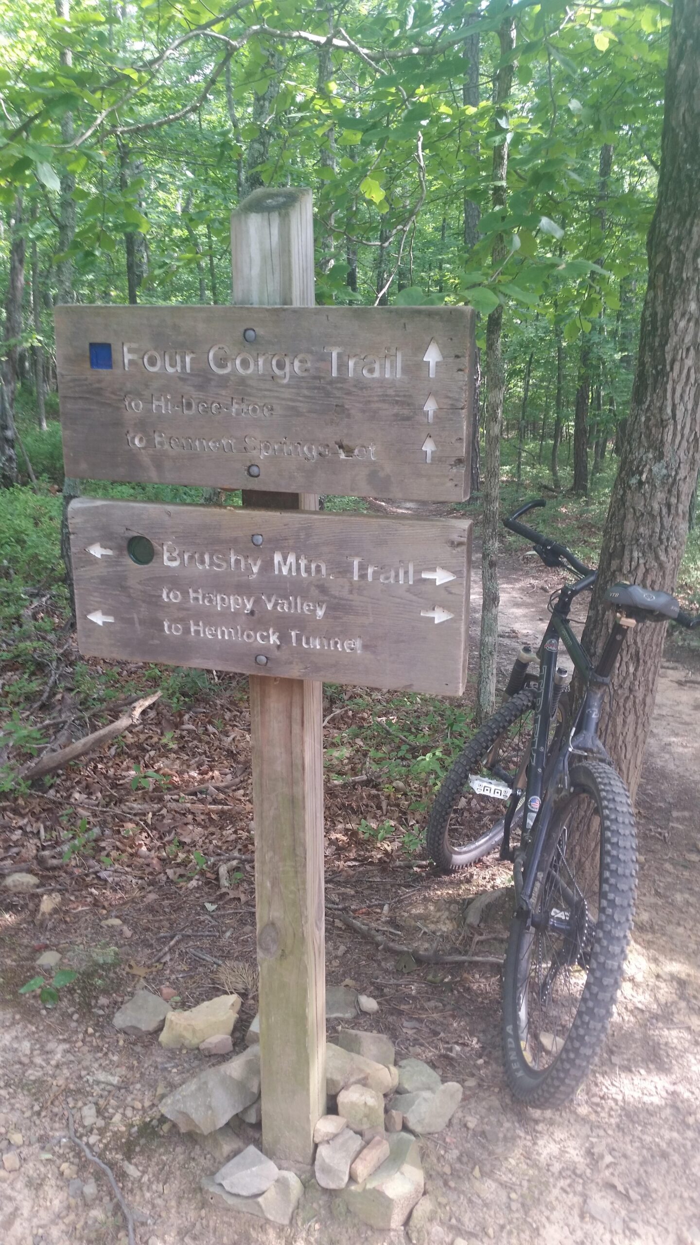 A wooden trail sign with arrows indicating directions for the Four Gorge Trail and Brushy Mountain Trail, set in a green forest environment. A mountain bike is leaning against the sign, with the ground featuring rocks and fallen leaves. Carvin's Cove Trail system mountain bike trail.